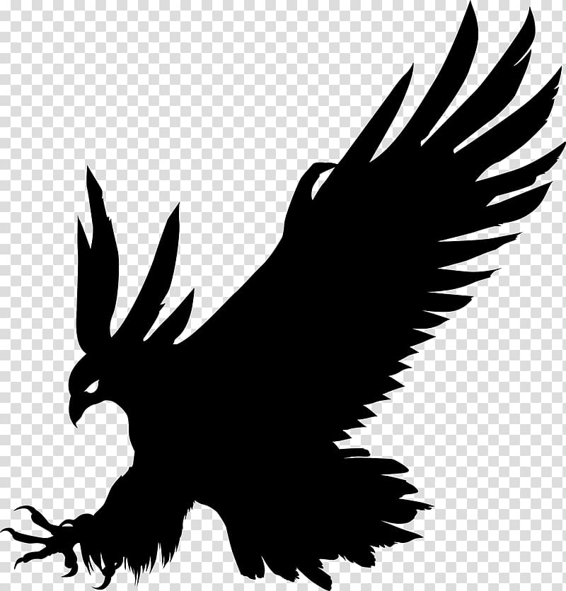 Bald Eagle Bird Silhouette Gray wolf, eagle transparent background PNG clipart