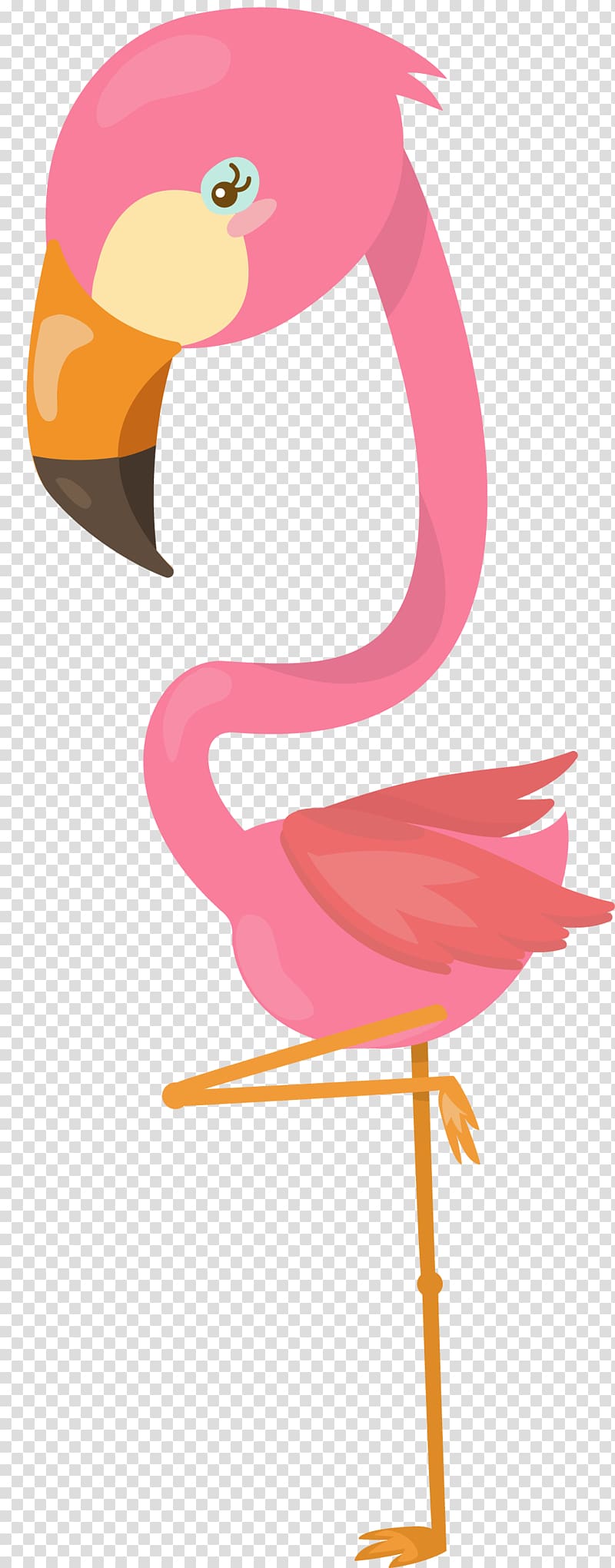 Flamingos Water bird Beak, flamingo transparent background PNG clipart