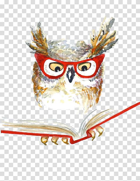 owl reading book wearing eyeglasses , Owl Drawing Watercolor painting, owl transparent background PNG clipart
