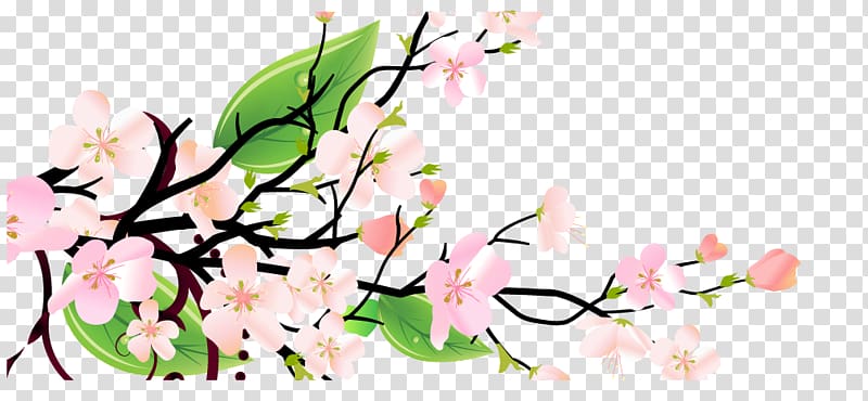 Floral design Plum blossom, Chinese wind plum transparent background PNG clipart