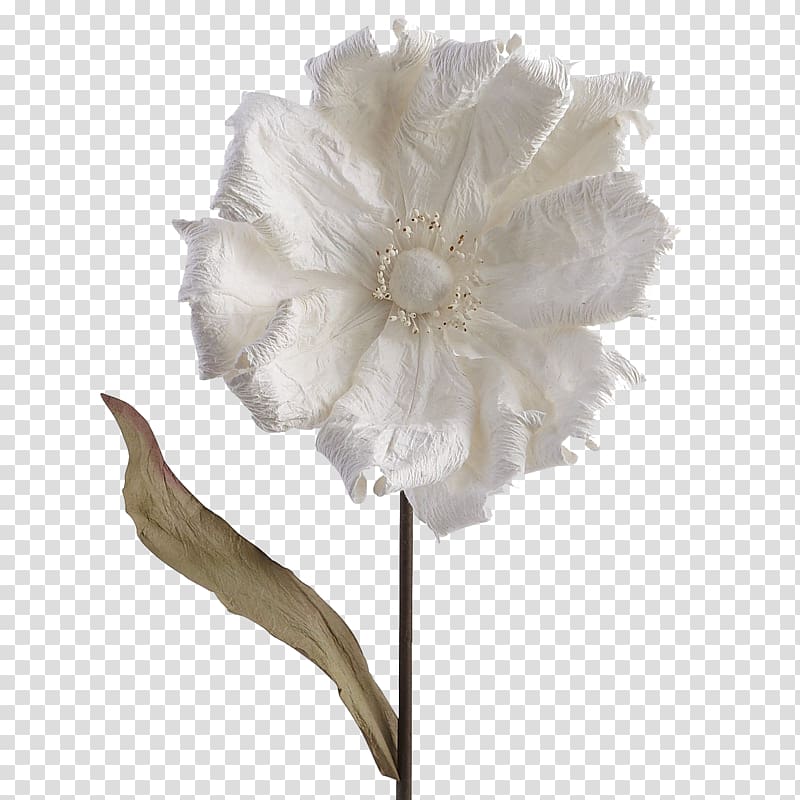 Cut flowers Rosaceae Rose Flower bouquet, pier transparent background PNG clipart
