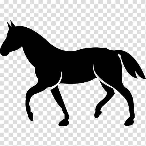 Standardbred The Black Cat Stitchery Tennessee Walking Horse Equestrian, others transparent background PNG clipart