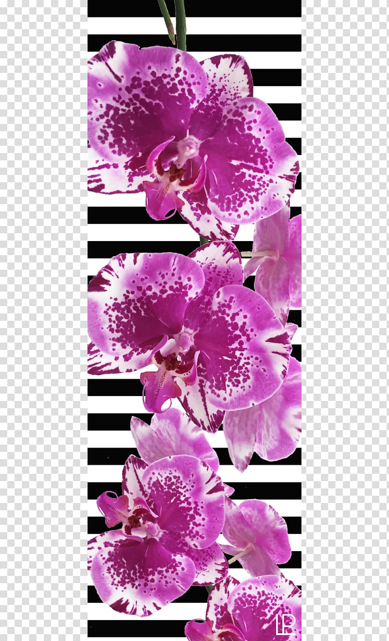 Lilac Yoga & Pilates Mats Violet Purple, bougainvillea transparent background PNG clipart