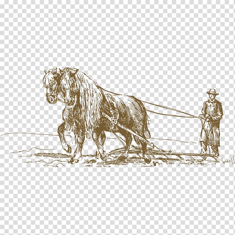 Cattle Drawing Agriculture, Horse plowing transparent background PNG clipart