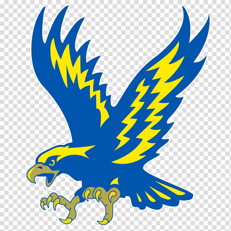 Manchester Metropolitan University Minnesota Philadelphia Eagles Atlanta Falcons Lincoln Colonials, american eagle transparent background PNG clipart