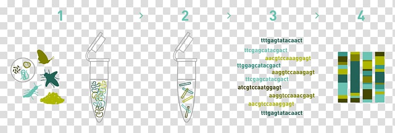 DNA barcoding DNA extraction Metagenomics Sequencing, others transparent background PNG clipart