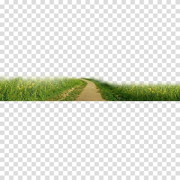 Green Copyright , Green grass road to pull material Free transparent background PNG clipart
