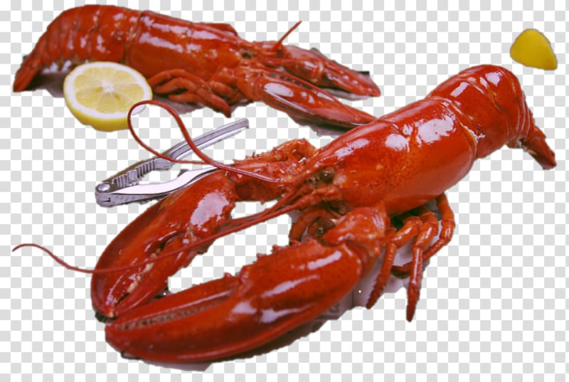 American lobster Homarus gammarus The Garlic Crab Crayfish, fresh garlic transparent background PNG clipart