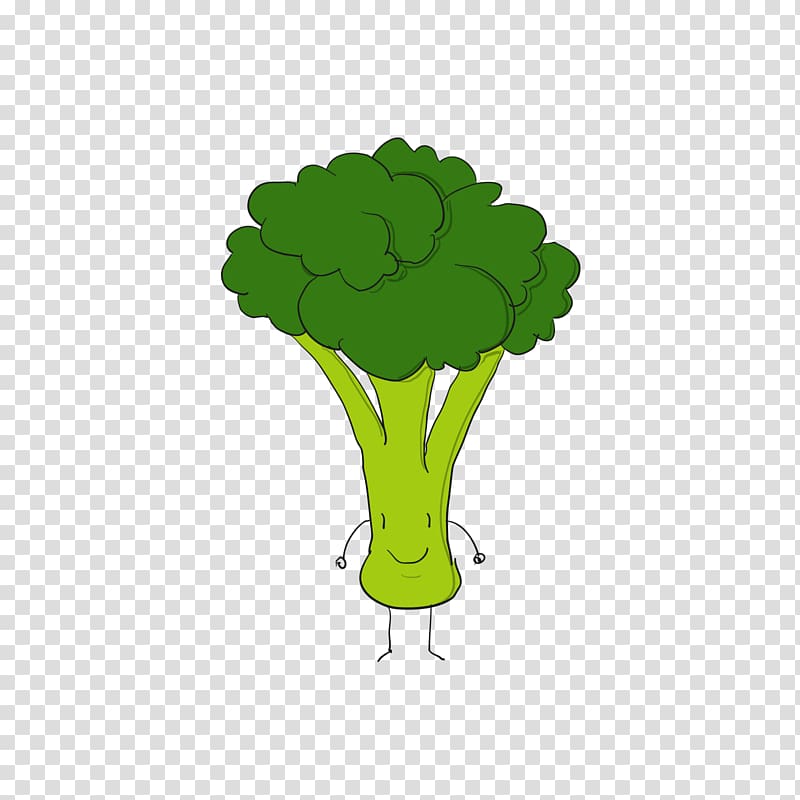 Broccoli Euclidean , Green cauliflower cartoon transparent background PNG clipart