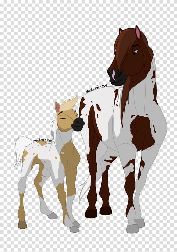 Appaloosa Mustang Foal Stallion Wild horse, mustang transparent background PNG clipart