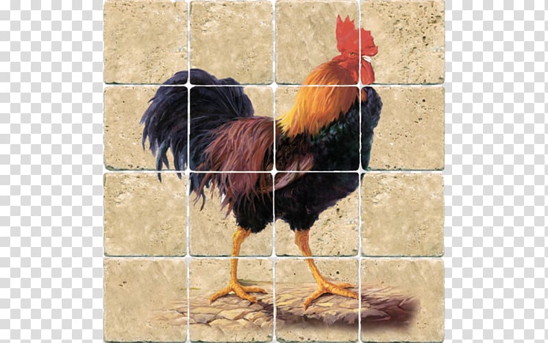 Chicken Bird Poultry Phasianidae Fowl, rooster transparent background PNG clipart