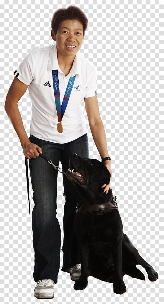 Dog Lindy Hou Paralympic Games 2014 Winter Paralympics Leash, Dog transparent background PNG clipart