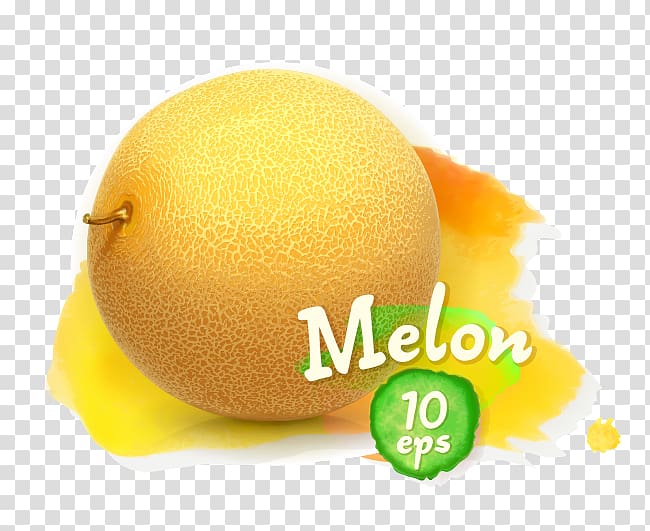 Fruit Illustration, Melon transparent background PNG clipart