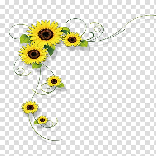 Common sunflower , sunflower transparent background PNG clipart