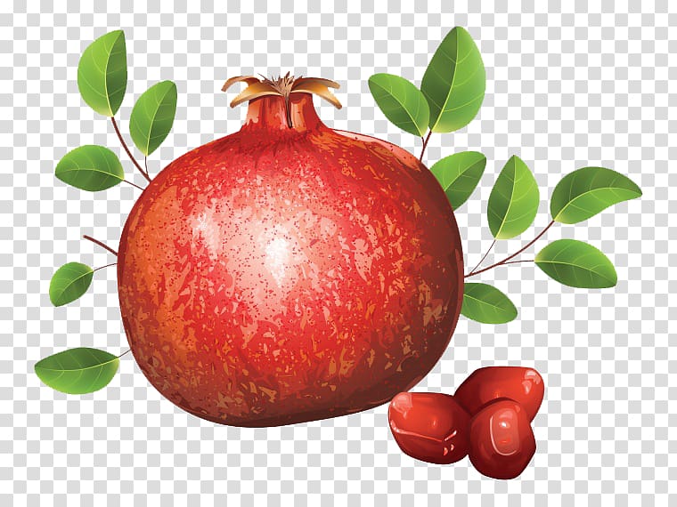 Pomegranate , Hand-painted pomegranate transparent background PNG clipart