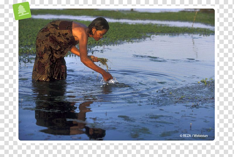 Phnom Penh Mekong Child Water resources, kids near rever transparent background PNG clipart