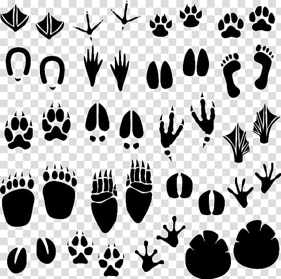 animal footprints clip art