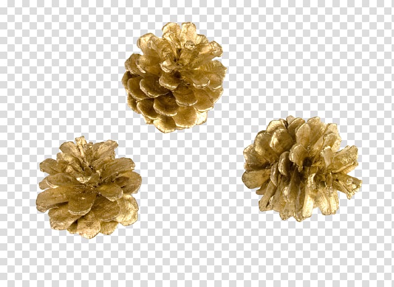 Christmas Conifer cone , pine cone transparent background PNG clipart