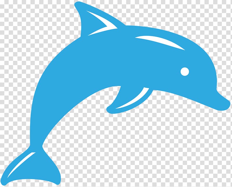 Common bottlenose dolphin Tucuxi Sheridan Way Elementary School Ventura Unified School District, dolphin transparent background PNG clipart