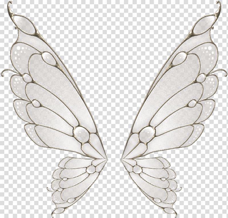 37,455 Butterfly Wings Sketch Images, Stock Photos, 3D objects, & Vectors |  Shutterstock