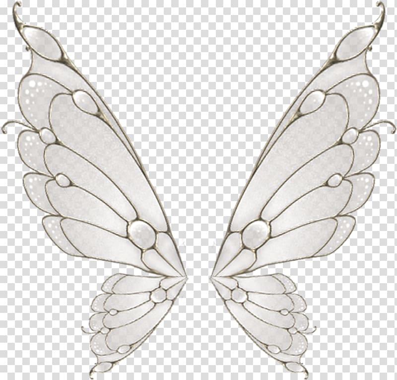 gray and white butterfly wings illustration, Butterfly Wing Flight Moth, Painted white butterfly wings transparent background PNG clipart