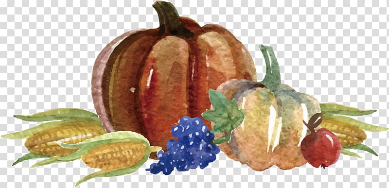 Thanksgiving dinner Template Rxe9sumxe9 Pumpkin, Hand-painted vegetable transparent background PNG clipart