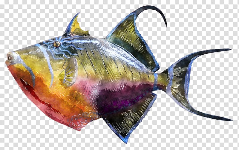 Triggerfish Underwater, Watercolor Fishing transparent background PNG clipart