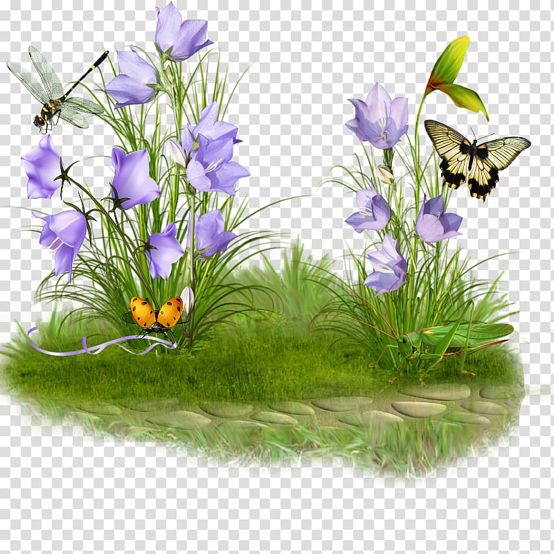 Garden , Flowering Perennials transparent background PNG clipart