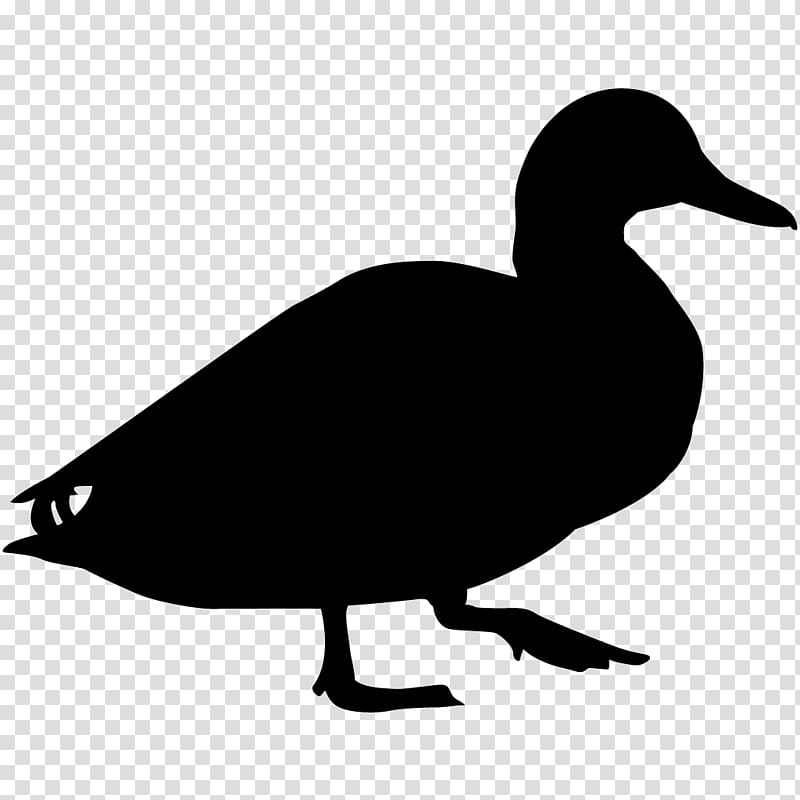 Duck Bird Goose Mallard Cornell Lab of Ornithology, duck transparent background PNG clipart