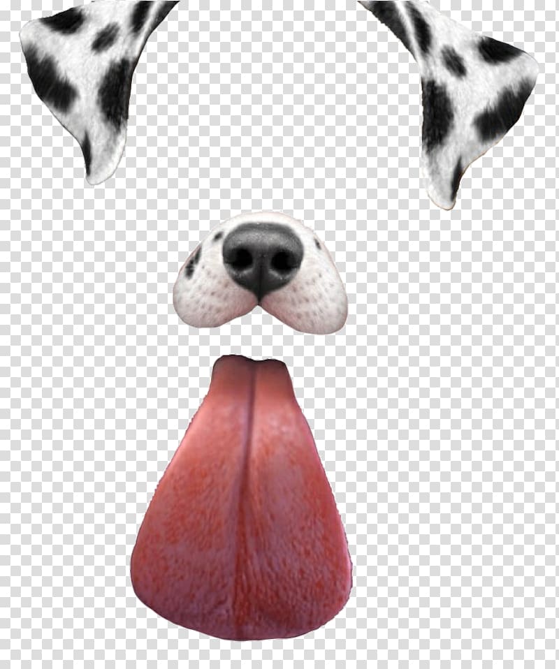 Dalmatian sticker illustration, Dalmatian dog Dachshund Puppy Snapchat, Icon Free Snapchat Filters transparent background PNG clipart