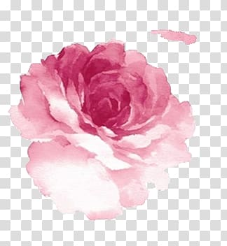 hand-painted watercolor peony transparent background PNG clipart