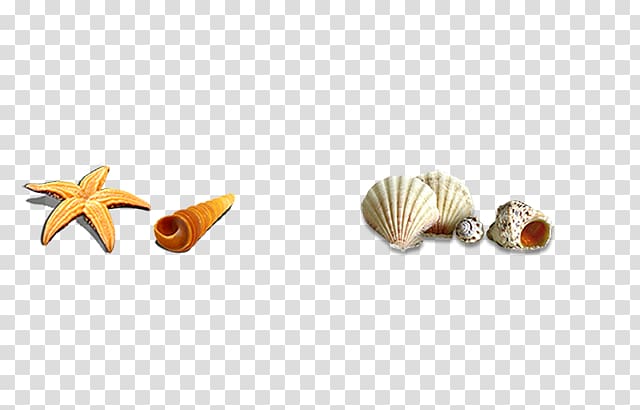 Seashell Icon, shell transparent background PNG clipart