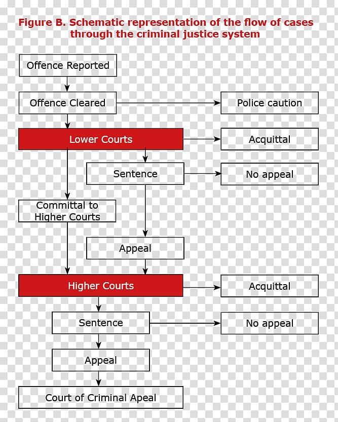 New South Wales Court Criminal justice Judiciary Criminal procedure, Children Presided Over transparent background PNG clipart