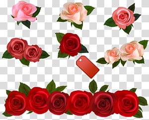 Rose Flower , rose transparent background PNG clipart thumbnail