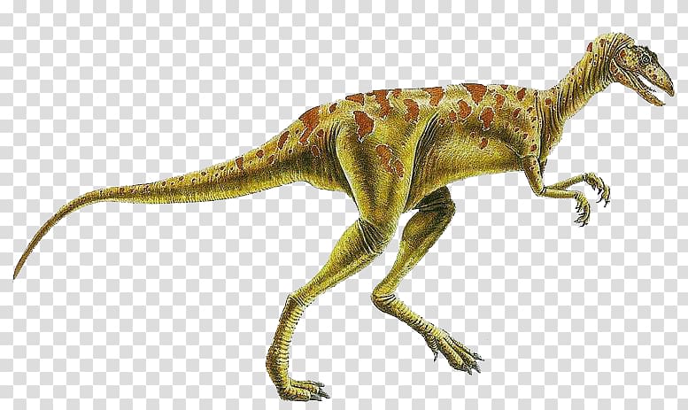 Herrerasaurus Staurikosaurus Eoraptor lunensis Coelophysis Placerias, dinosaur transparent background PNG clipart