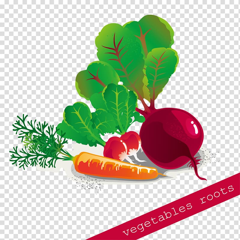 Vegetable Carrot, Hand-painted vegetable pull Free transparent background PNG clipart