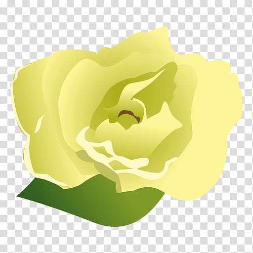 Cape jasmine Gardenia taitensis Flower, flower transparent background PNG clipart