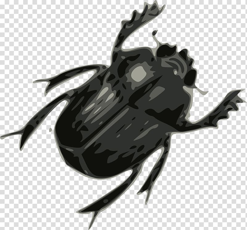 Beetle , Crawling Beetle transparent background PNG clipart