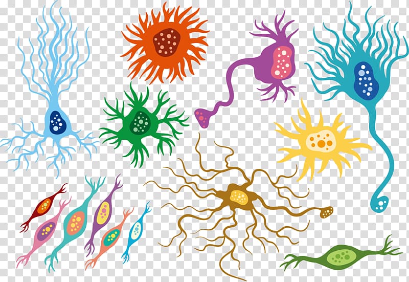 assorted bacteria illustration, Neuron Floral design Artificial neural network, Colorful human neural network transparent background PNG clipart