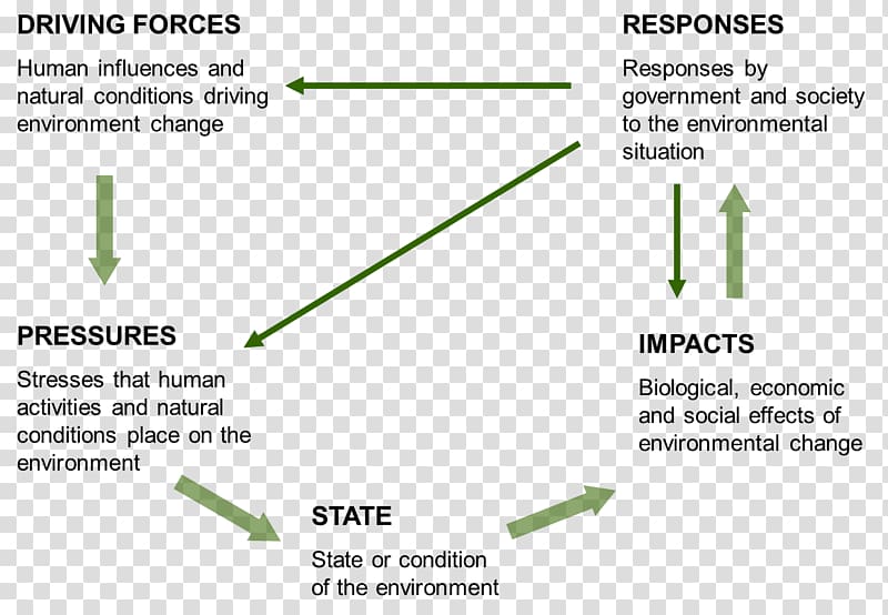 DPSIR Natural environment State of the Environment Ecosystem Environmental indicator, natural environment transparent background PNG clipart