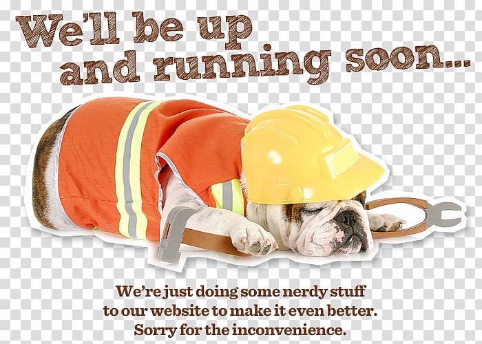 Laredo Animal Care Facility Maintenance Business Paint, website maintenance transparent background PNG clipart