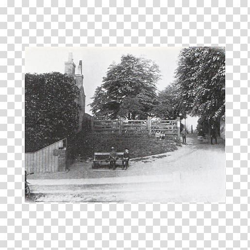 Highgate Edwardian era Victorian era History Land lot, tree transparent background PNG clipart