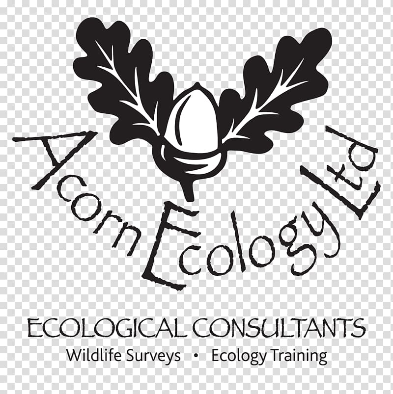 Exeter Acorn Ecology Ltd Environmental consulting Consultant, winnie pooh black transparent background PNG clipart