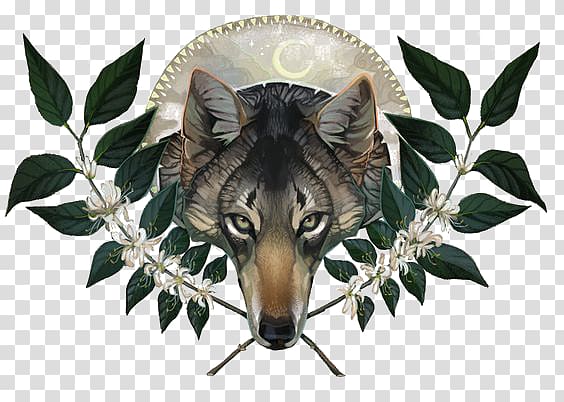 creative wolf avatar transparent background PNG clipart