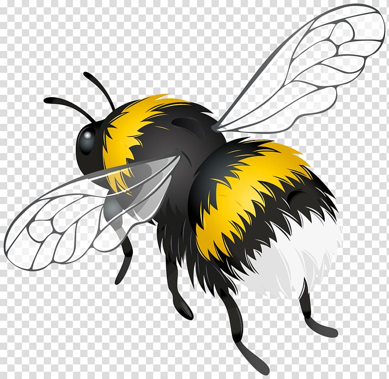 Bee Insect Flight , grasshopper transparent background PNG clipart