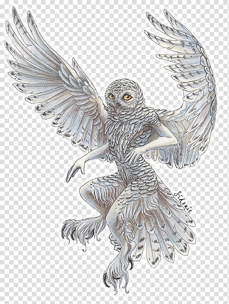 Snowy owl Bird Drawing Barn owl, flying owl transparent background PNG clipart