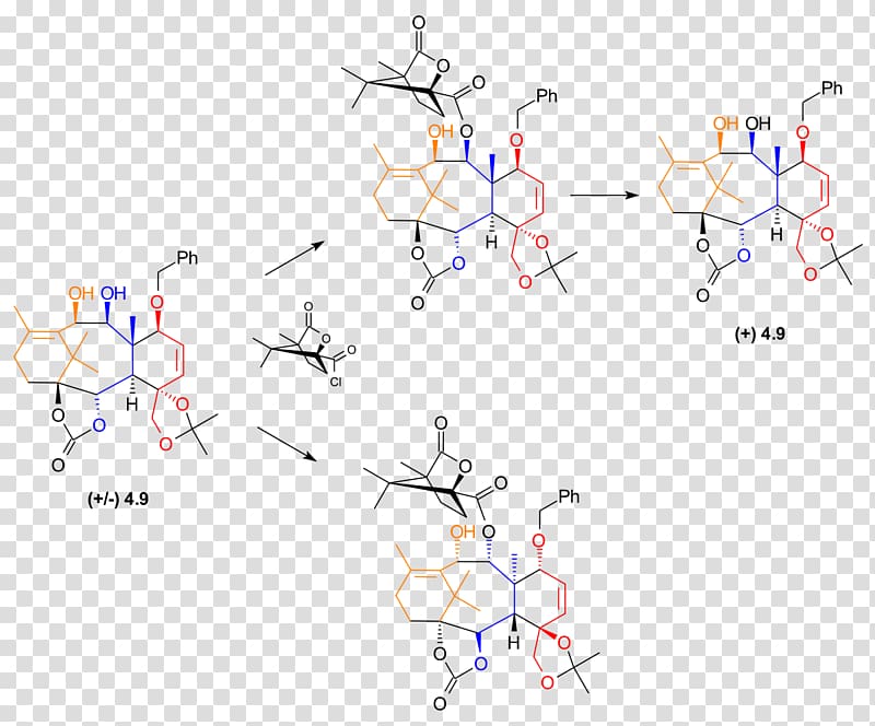 Paclitaxel total synthesis Nicolaou Taxol total synthesis Enantiomer Camphorsulfonic acid, Chromatography Column transparent background PNG clipart