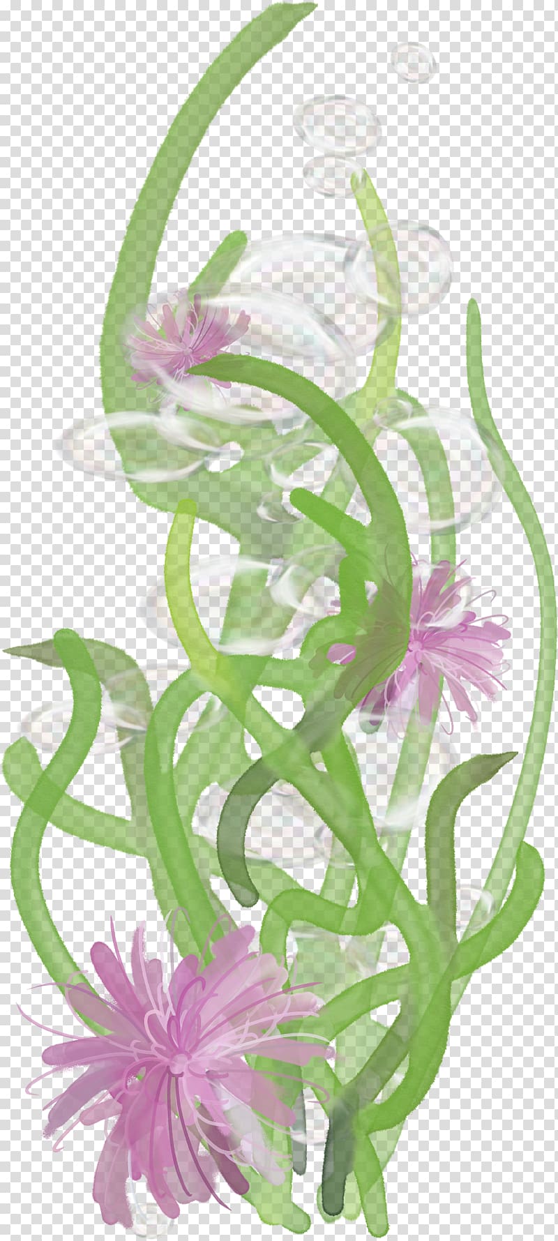 Rattan Floral design , algae plant transparent background PNG clipart