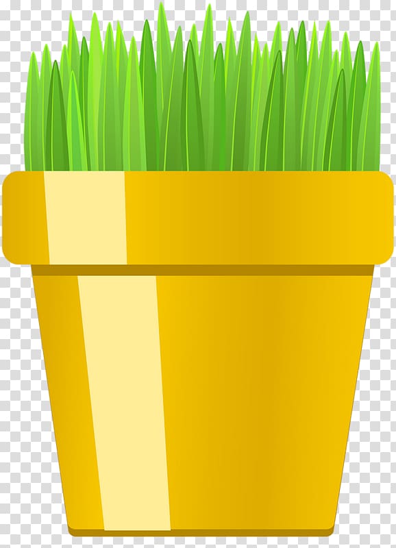 Free Innovation Icon, Green grass transparent background PNG clipart