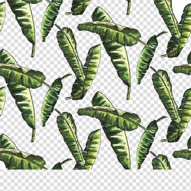 Euclidean Leaf Watercolor painting, green bamboo leaves transparent background PNG clipart